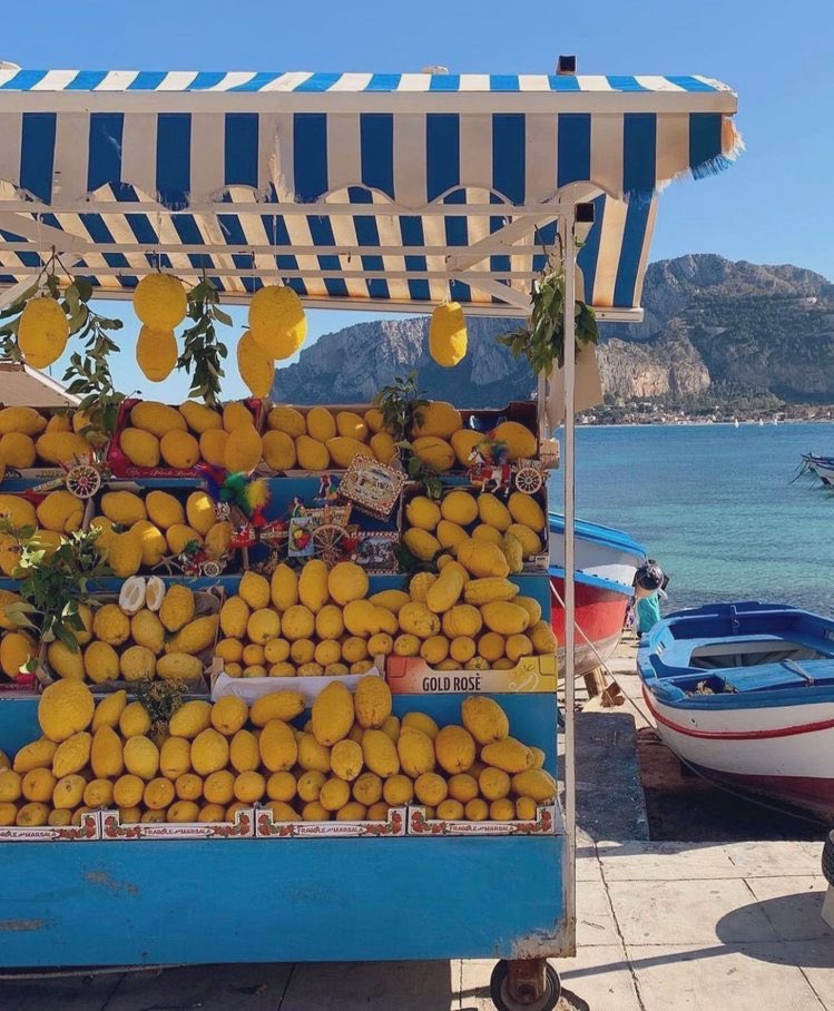Mediterranean Aesthetics (@mediterraneanae) on Twitter photo 