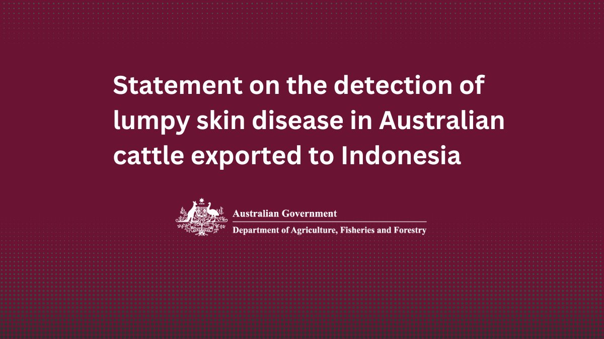 Australia remains free from lumpy skin disease in cattle. Read my statement on the detection of lumpy skin disease in Australian cattle exported to Indonesia: agriculture.gov.au/about/news/lsd… @DAFFgov