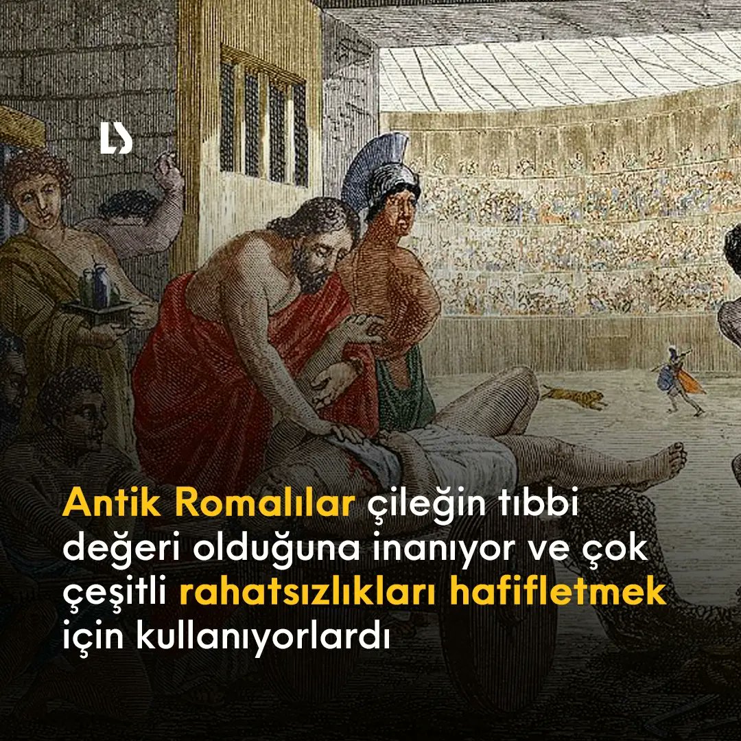 LegendSciences's tweet photo. Çilekler hem kuzey hem de güney yarımküreye özgü meyveler. Deniz kenarında, ormanda ve dağ tepelerinde yetiştikleri görülmüştür. Çilek, literatürde ilk olarak MS 1000 yıllarında tanımlanmış ve bir çilek bitkisinin ilk çizimi 1484 yılında basılmıştır. #Çilek #Meyve #Bilim https://t.co/TDAOIlBTuj