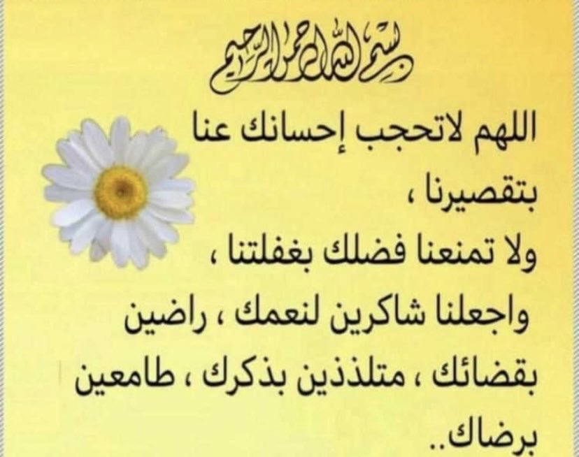 انثى مخمليه (@alfarseh2010) on Twitter photo 