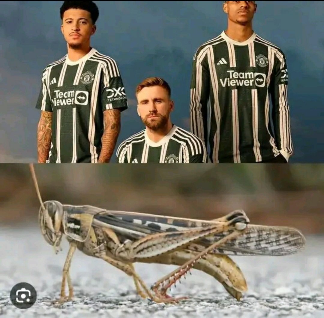 Mseto_Fc's tweet photo. Then some club need to be serious with what they give their players to wear.😂
#MsetoNdioBest #esenyurt #BBNaijaAllStars #LabanFilipinas #ElvishArmy https://t.co/vB3wKQH3xH