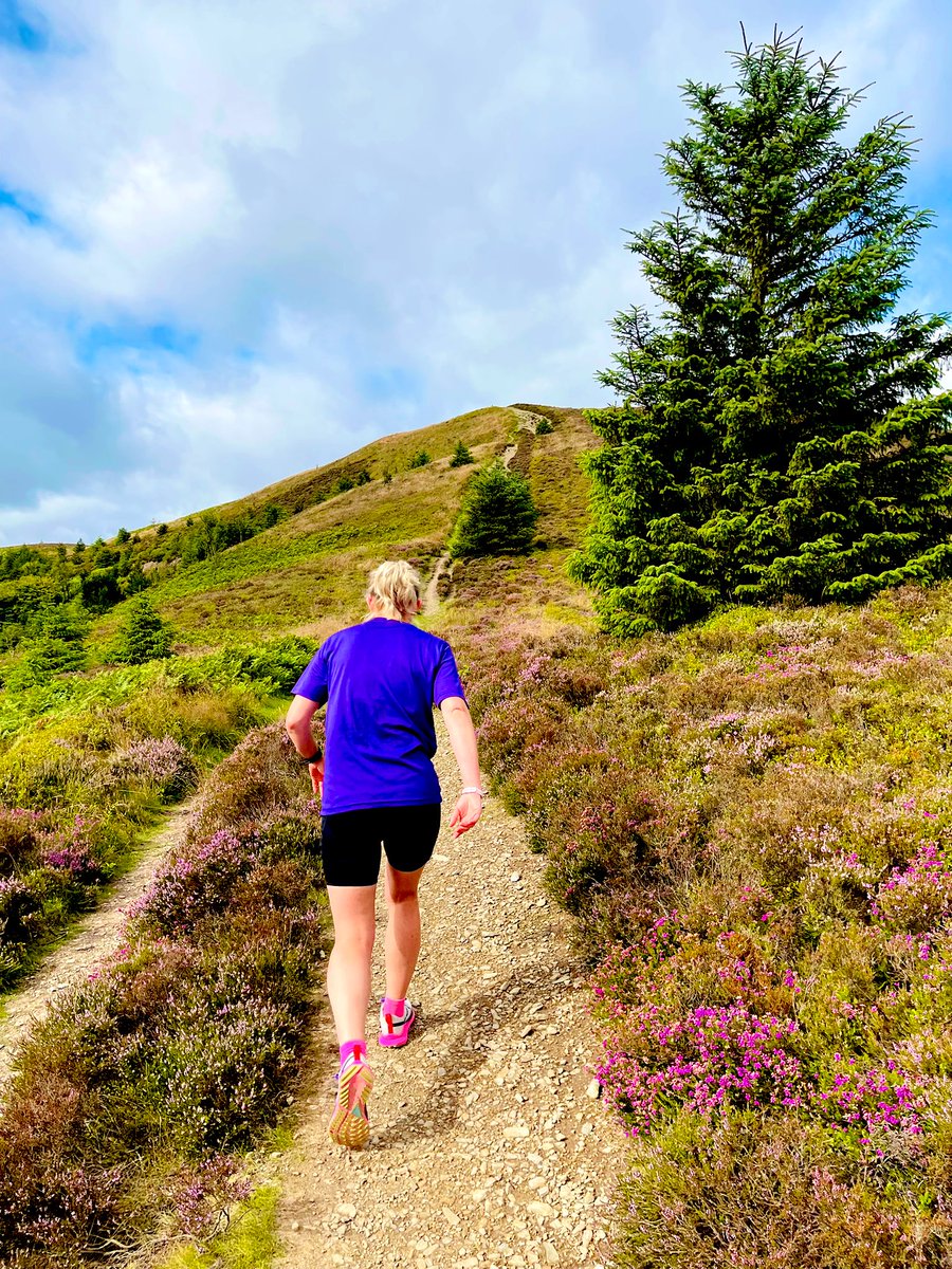 Jo Garzoni tweet media