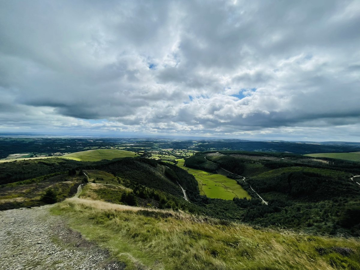 Jo Garzoni tweet media