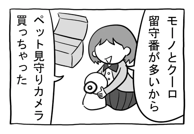 ねこまんがかいてみた291「ペット見守りカメラ」  #ねこ #ネコ #猫 #白猫 #黒猫 #猫漫画 #4コマ #4コマ漫画 #四コマ漫画 #マンガ #漫画 #ペット #pet #カメラ #camera #天然 #ショッピング #留守番 #外出 #テレビ #漫画が読めるハッシュタグ