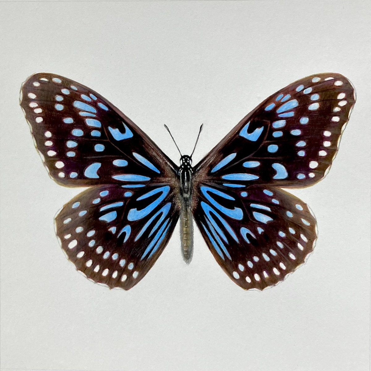 Paul Miller tweet media