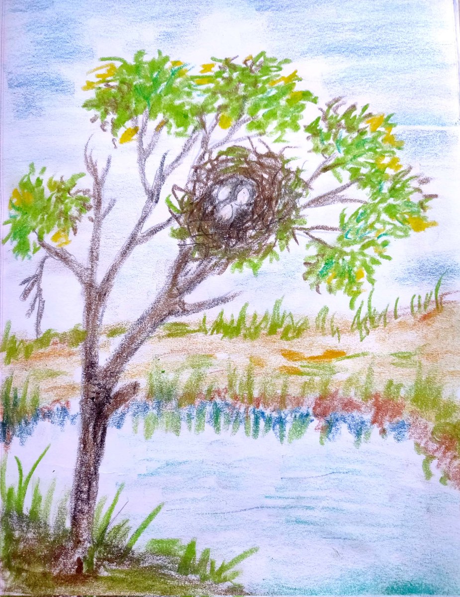 FatimaNargis4's tweet photo. 🌿🍂🥀🌼 My drawing scenery 🍂🍂🌸🌿🌸🍂 https://t.co/EshAUEq5J4