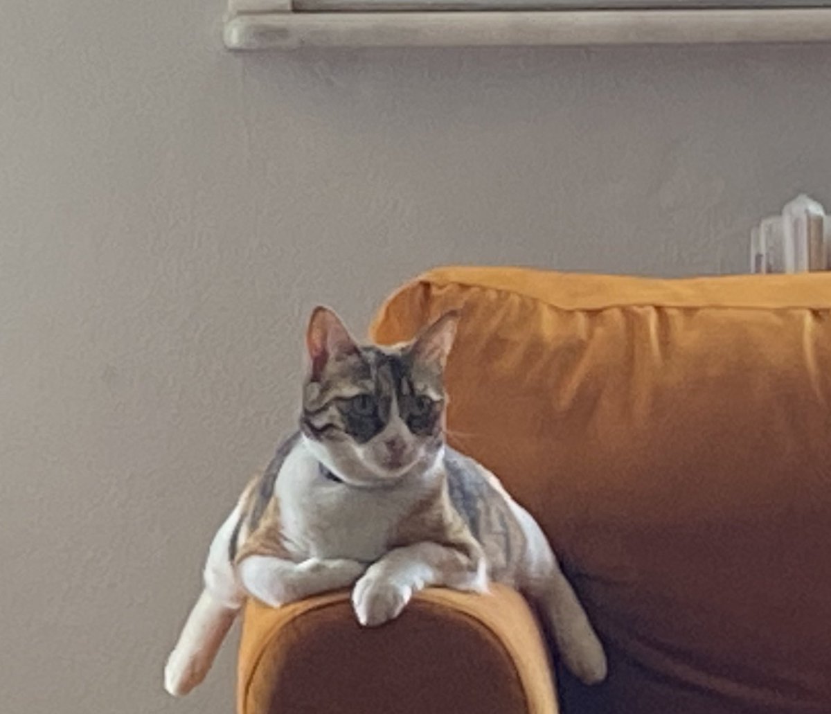 aslan yaddı yertn belli
olr