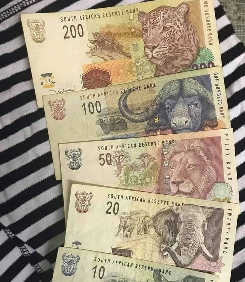 nikz454's tweet photo. This money lasted longer https://t.co/uzI3a3kaJm