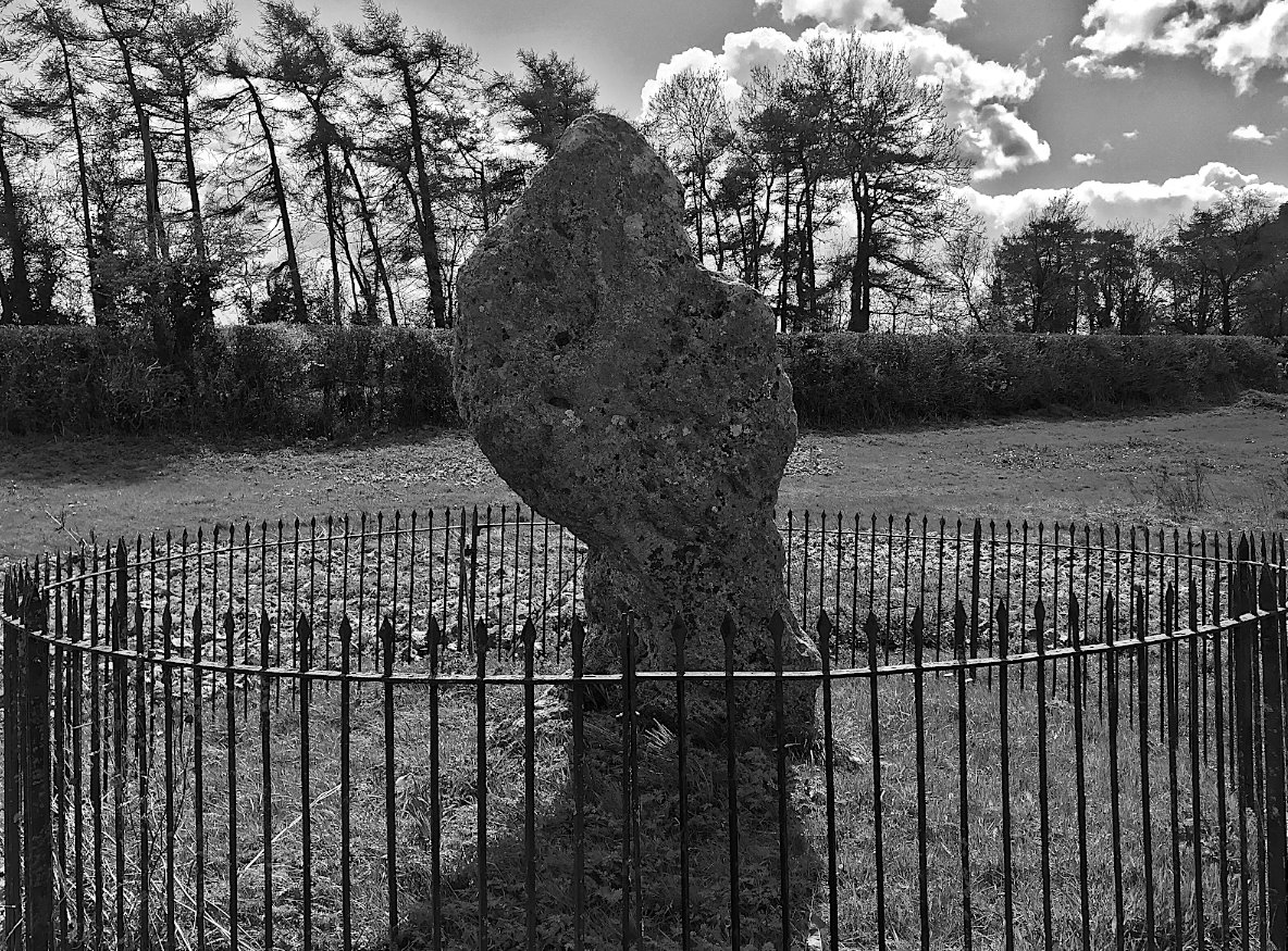 Hookland tweet media