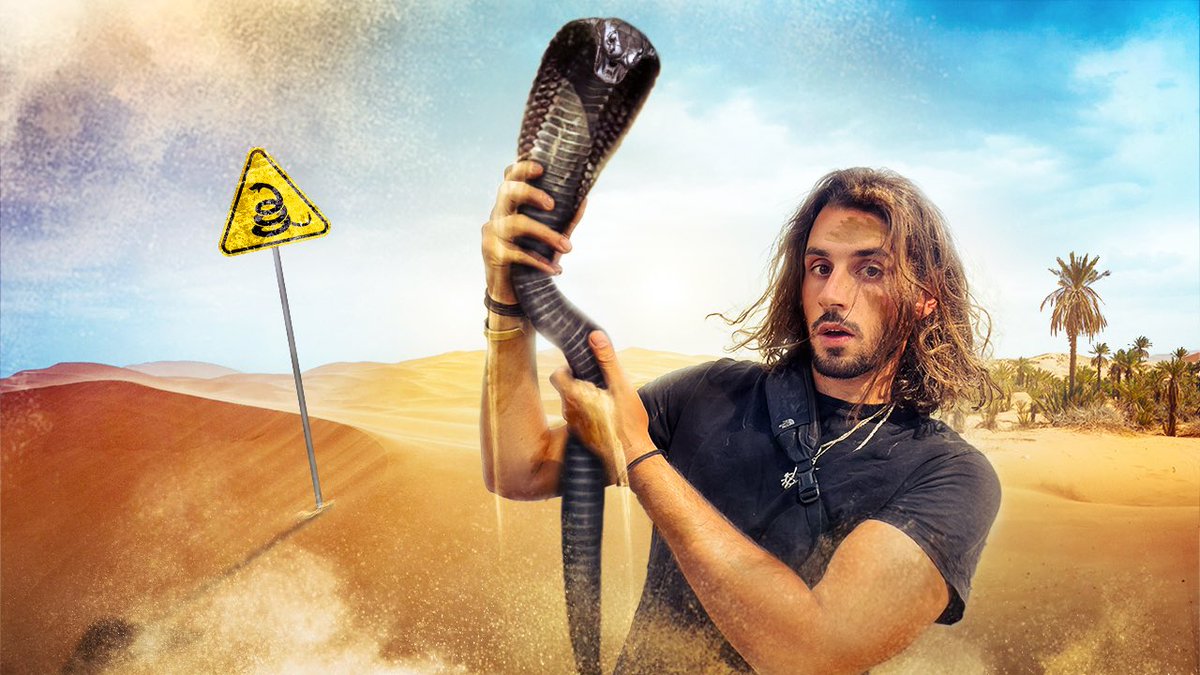 NOUVELLE VIDÉO YOUTUBE 📹

Sur les traces du serpent le plus mortel d’Afrique du Nord, le cobra égyptien ! 🐍 

Lien ⤵️

youtu.be/dCHAkfvSVqo