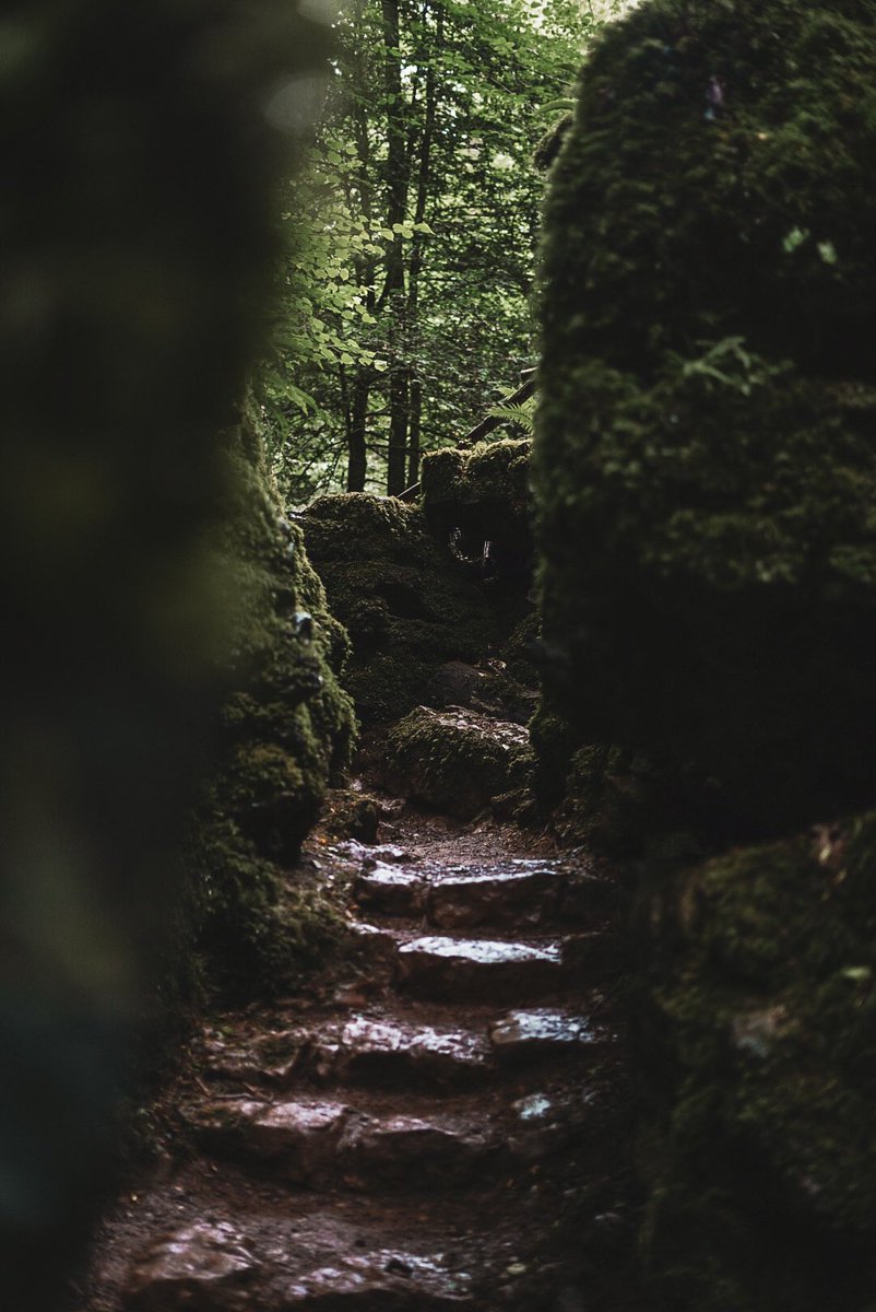 Leescarratt's tweet photo. Exploring the Forest of Dean 🥰🌿

Such an incredible place!

#forestofdean #castle #raglancastle #puzzlewood #travelphotography https://t.co/VAxQ1977ZR