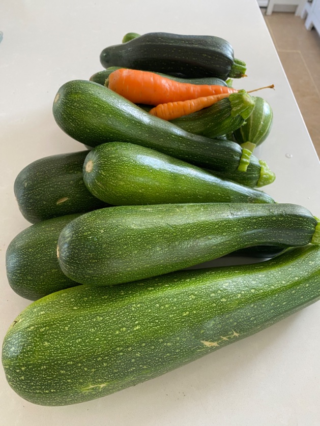 Dr Sian Williams tweet media