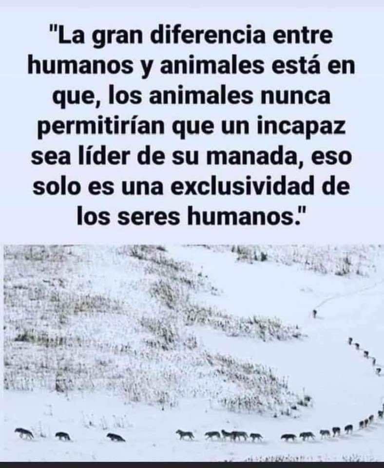 EduardoBr77's tweet image. 