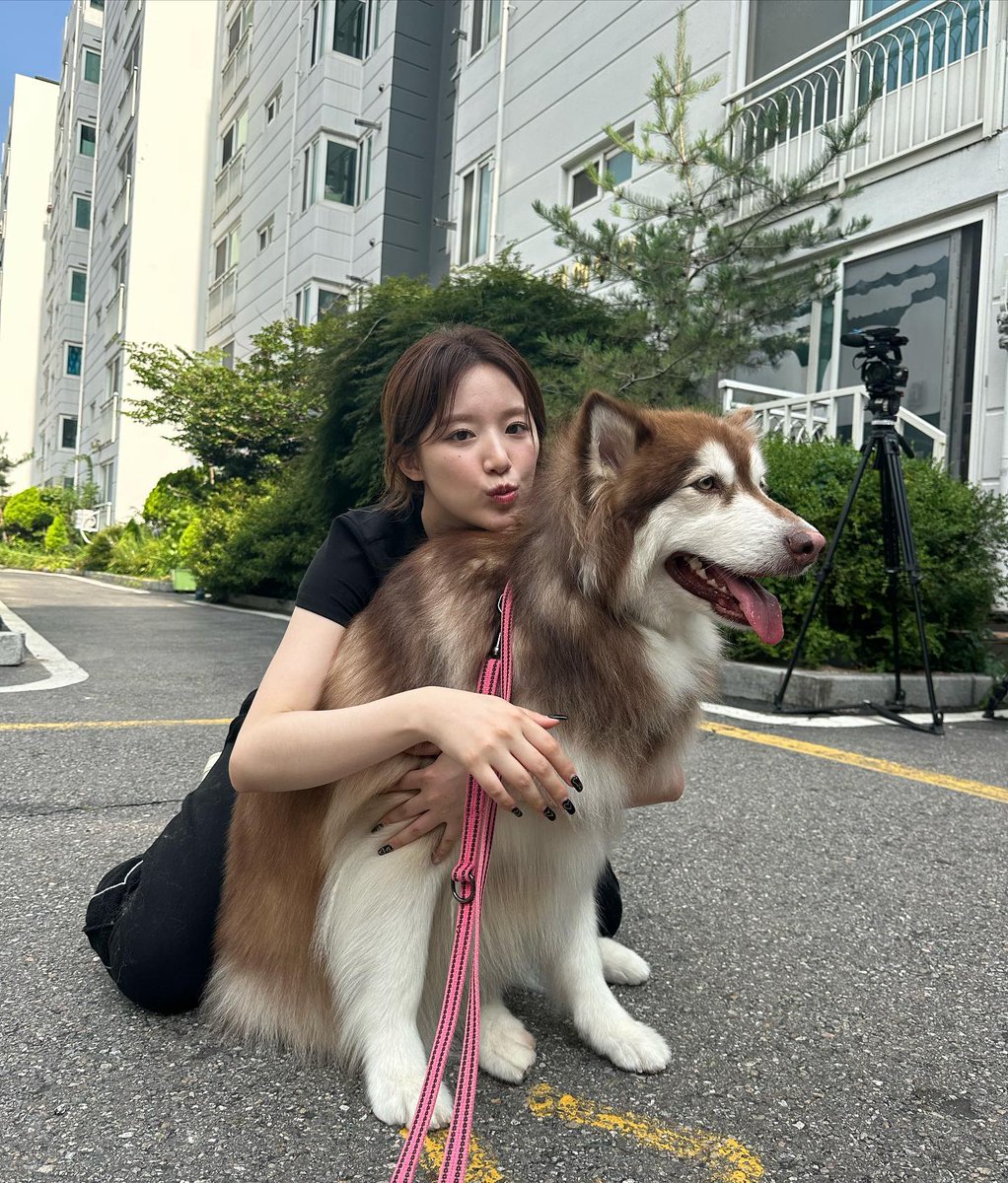 고승길 tweet media