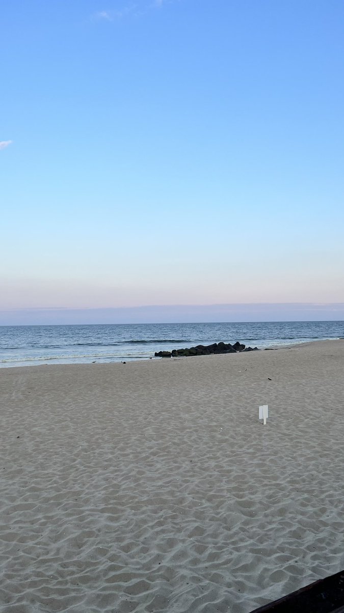 brooklynsjc's tweet photo. #summer2023 https://t.co/TKmZBQPslm