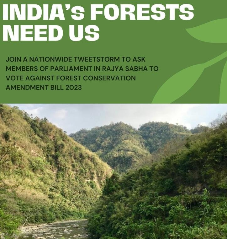 NeelkamalTOI's tweet photo. #SaveIndianForests

@RajyaSabha MPs avoid voting for the passage of the #ForestConservationAmendmentBill2023 that is making radical changes to India’s 43 year old Forest Conservation Act of 1980 #WithdrawFCAbill2023 https://t.co/ddevbvKAQI