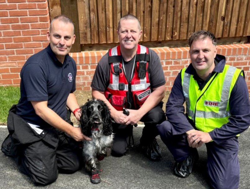 East Mids Fire Dog (@midsdog) on Twitter photo Busy day yesterday with Barney and Tim travelling to <a href="/northantsfire/">Northamptonshire Fire & Rescue</a> in the morning and both dog teams attending an explosion in <a href="/nottsfire/">Nottinghamshire Fire and Rescue Service</a> in the afternoon Busy day yesterday with Barney and Tim travelling to <a href="/northantsfire/">Northamptonshire Fire & Rescue</a> in the morning and both dog teams attending an explosion in <a href="/nottsfire/">Nottinghamshire Fire and Rescue Service</a> in the afternoon