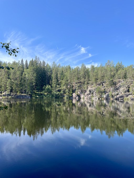 Spent a few hours in the forest not thinking about SaaS https://t.co/SpionluuoF