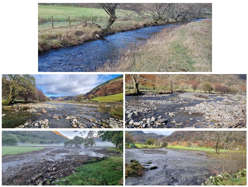 Dynamic Rivers tweet media