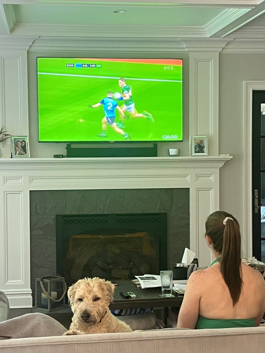 saviliam's tweet photo. @GAAGO enjoying the Game in NY but Oliver can't watch! https://t.co/GFIA0l4eso