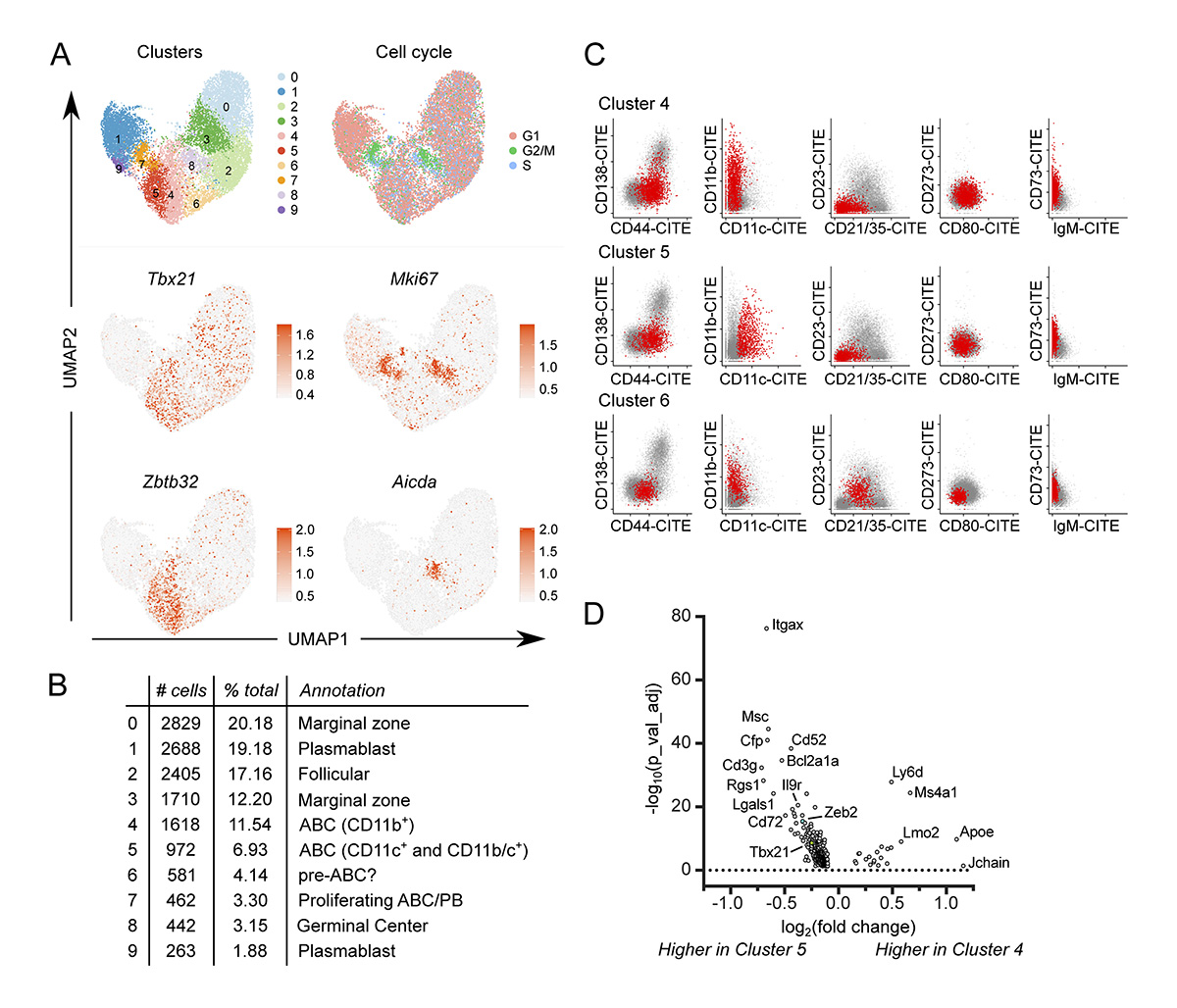 JExpMed's tweet photo. .@KMNickerson, @Shlomchiklab et al. show that age-associated B cells are heterogeneous and dynamic drivers of #autoimmunity in mice. https://t.co/OInUxZvHRf
Part of our #Autoimmunity Collection: https://t.co/RTwjYtbmXl
#AUTOIMMSRC https://t.co/1Wdjn81iVY