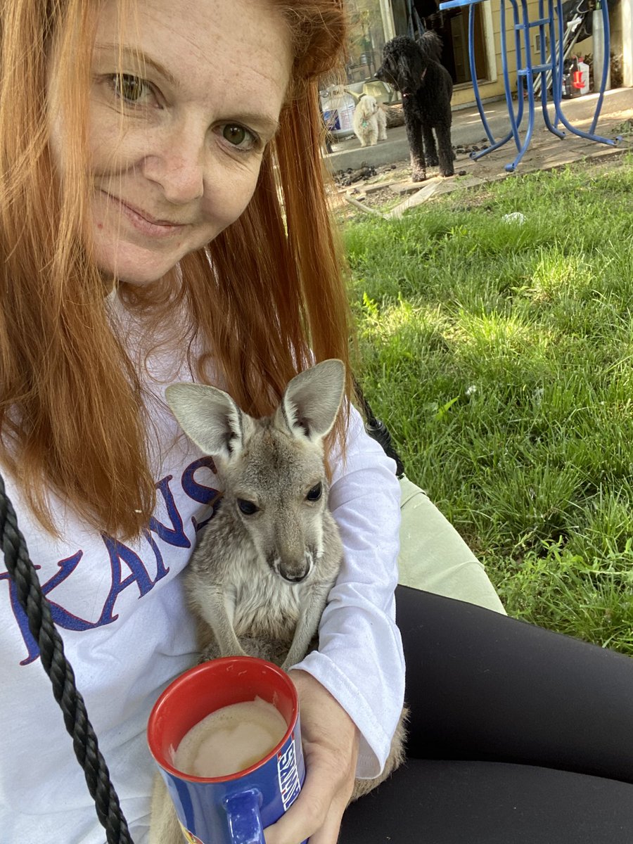 coppertoparoo's tweet photo. @TrooperBenKHP And sometimes they just like to have coffee and cuddle. https://t.co/mejrkC9cr1