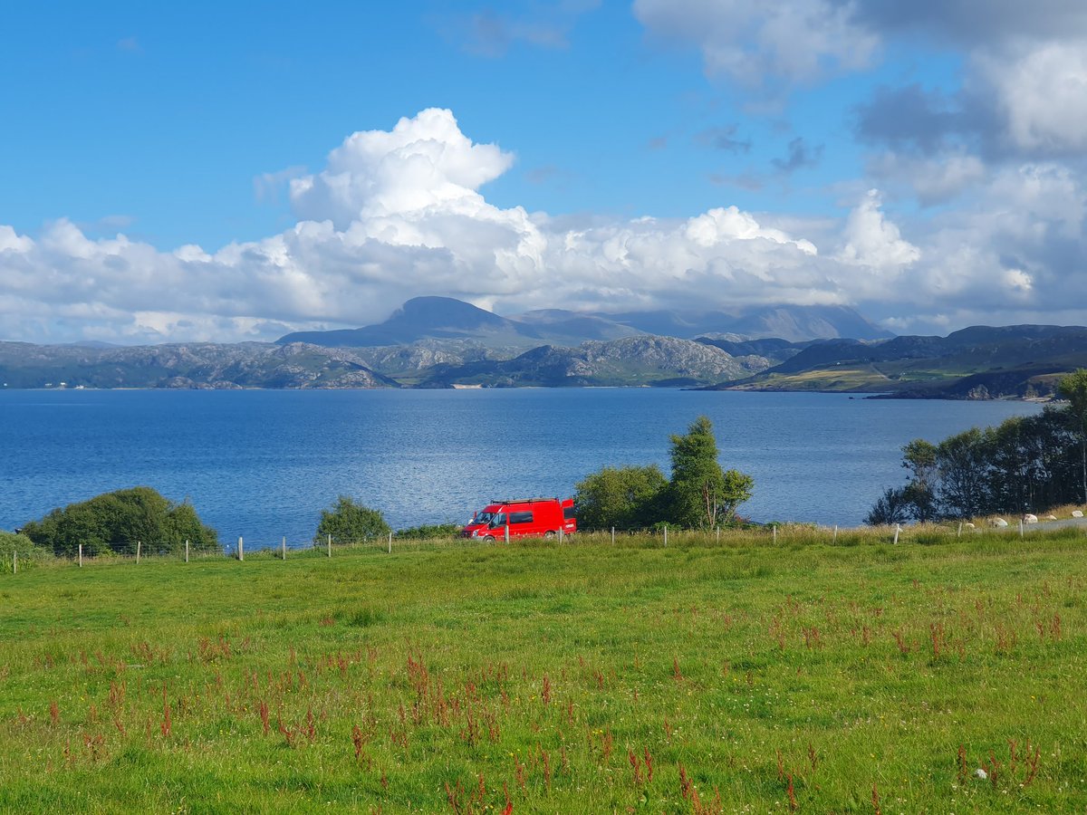 derMischo tweet media