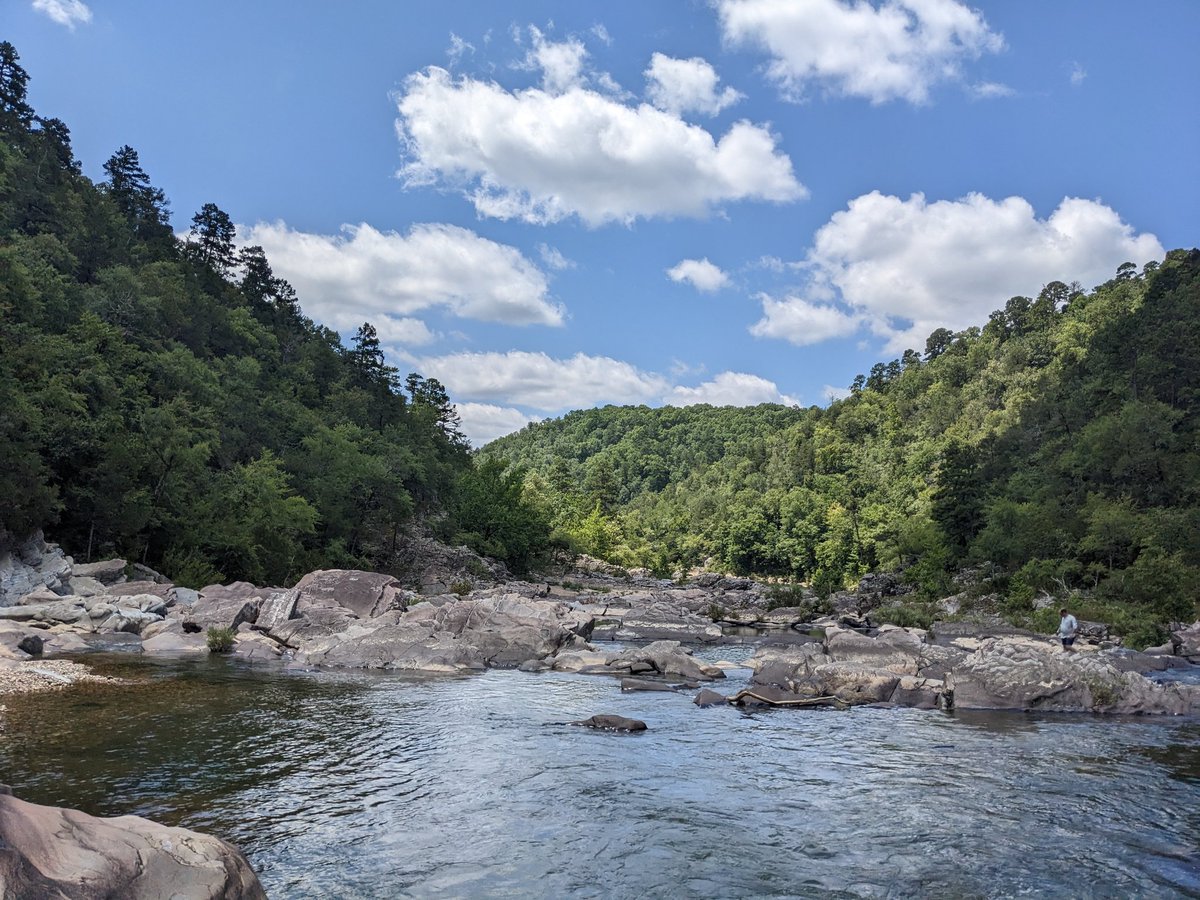 sonofdod2001's tweet photo. undescribed Longear of the Little River system https://t.co/EXLdnjClyg