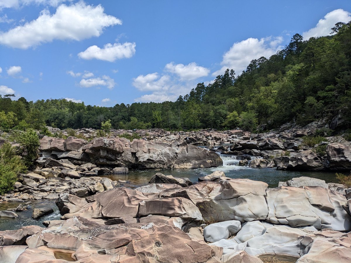 sonofdod2001's tweet photo. undescribed Longear of the Little River system https://t.co/EXLdnjClyg