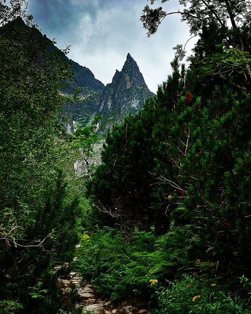 GORSKI_SWIAT's tweet photo. #TATRY
#MNICH #ROHACZE #GĄSIENICOWA
Wojciech Witkowski, Przemysław Piegza - Fotografia, Kuba Witos Fotografia https://t.co/F88S8GN61q