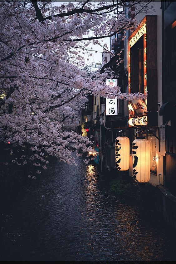 ElArteDeVivir__'s tweet photo. “La lluvia es un problema solo para quienes no quieren mojarse.”

- Proverbio japonés https://t.co/YIZkq9oyfr