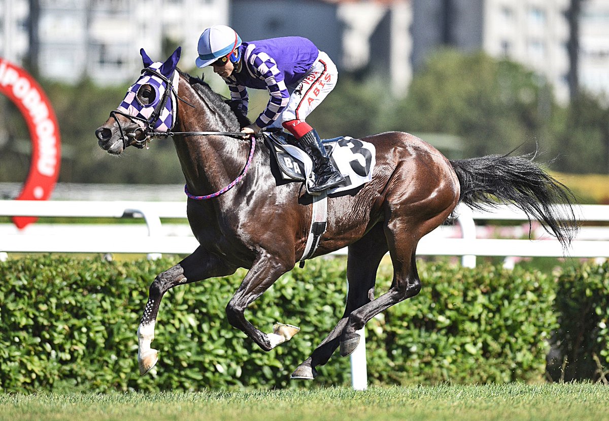 Çanakkale Zaferi Koşusu'nun galibi Zincir Koparan oldu

tjk.org/TR/YarisSever/…
