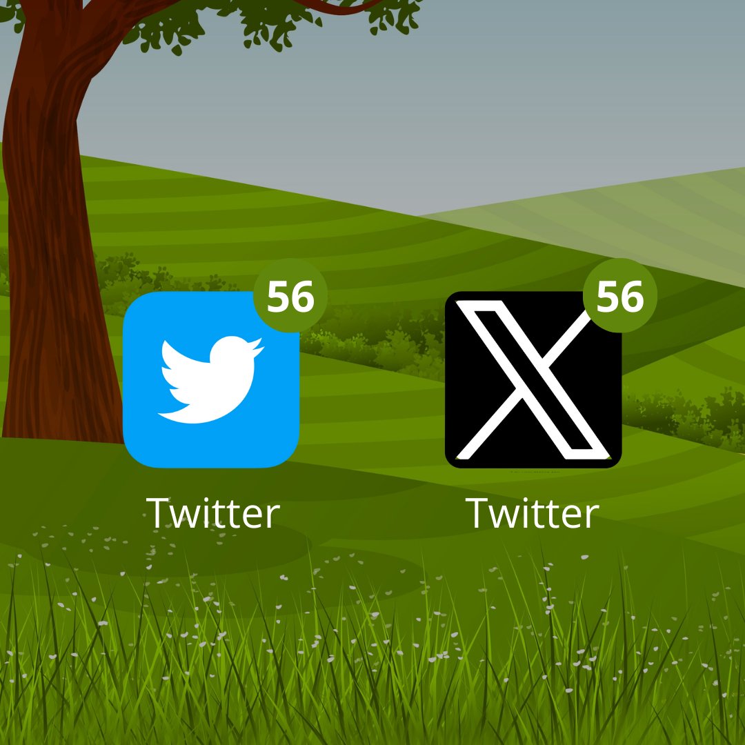 ¿No te gusta la 𝕏?

¡Cámbiala y regresa al  de Twitter!

(Para Android e iOS)

[ H I L O ] 🧵

**** No se lo digas a Elon 🤫