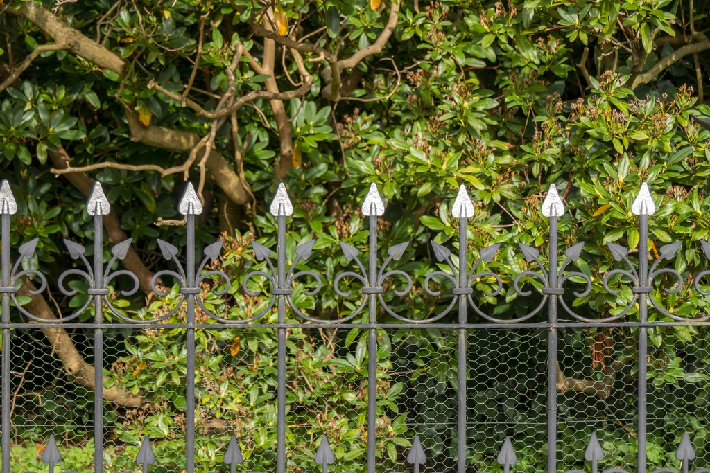 buildmaterials's tweet photo. Get your Fences whilst offers last ⚡

Time is running out to get your hands on new Fencing at an even better price!

There's panels, posts, boards and gates ⚡

Order your Fence now https://t.co/0rLcwhRJ0o

#Fence #GardenDesign #EnglishGarden #GardenUK #Landscaper https://t.co/hNxsmsQCOa