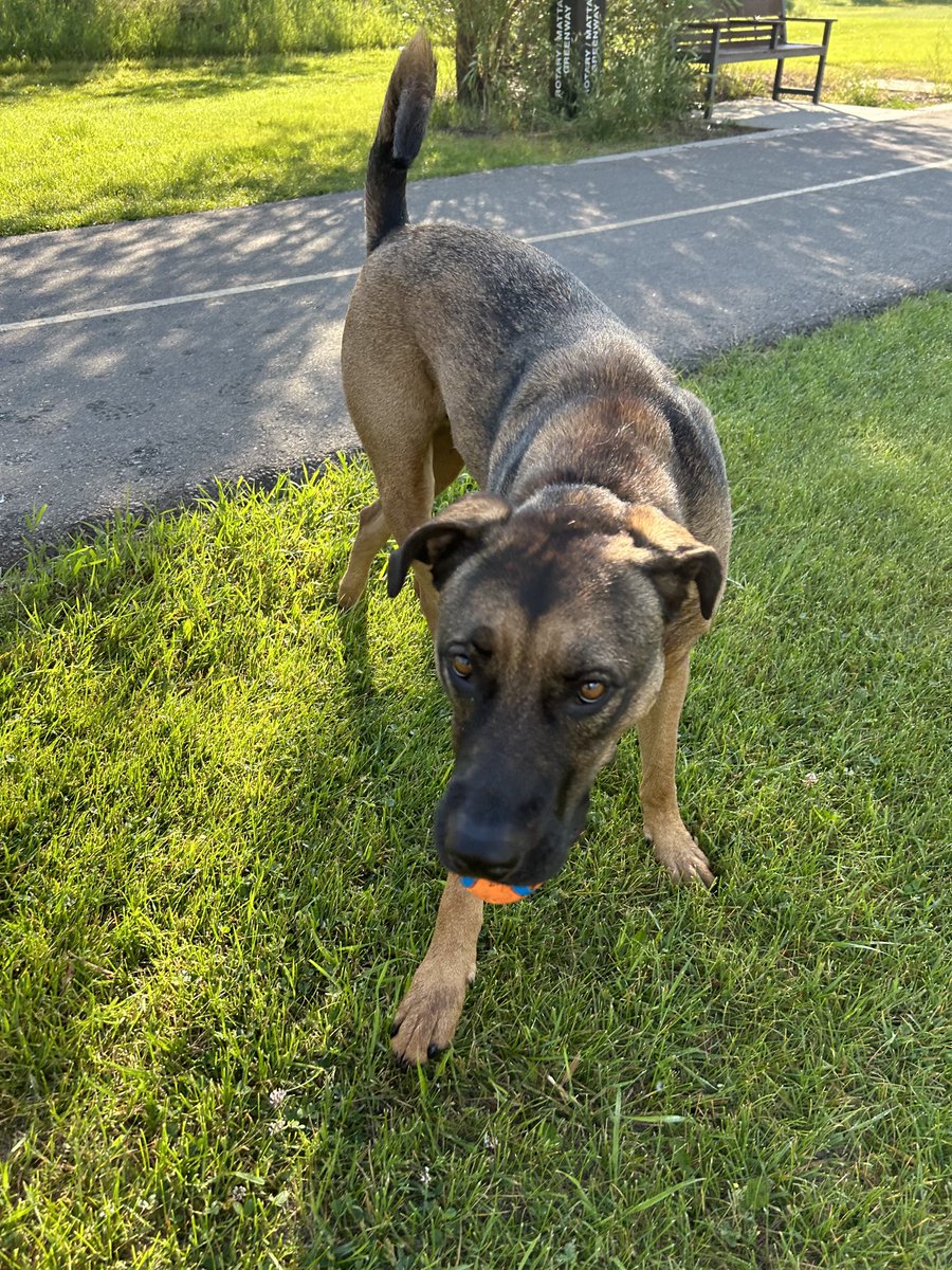 We found this sweetheart near the river just south of Shouldice Park. Someone is dropping him off at Paramount animal Hospital.#yyc