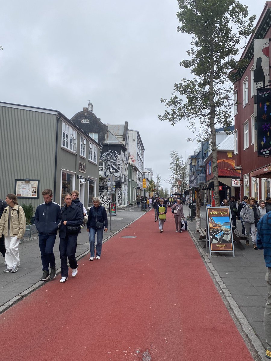 Freyr S.N. tweet media