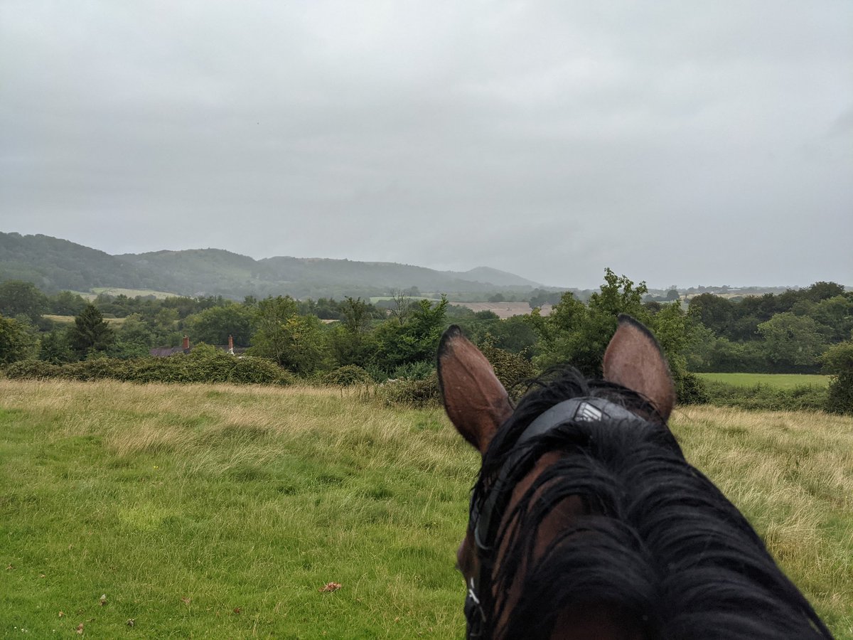 I wanted to make the most of another day off &amp; time to go up to the common.  I want to build Edith's confidence on her own &amp; over all different terrain - she was so brilliant today and we had a lot of fun!
Those of you who know the area will recognise a few of these views ❤️