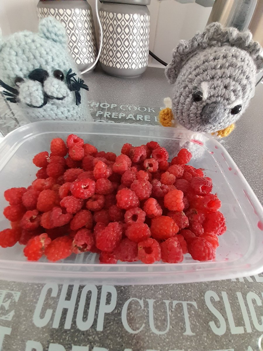 Jayne Dudley tweet media