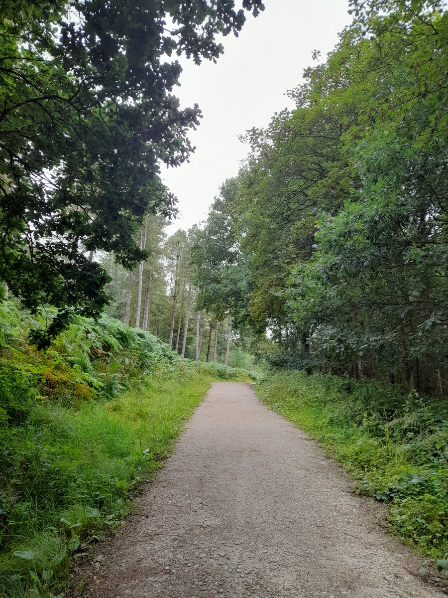 Jayne Dudley tweet media