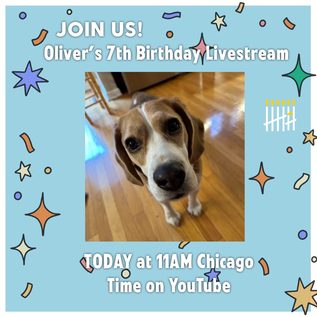 🎉 Join us for Oliver’s birthday, LIVE on YouTube in 30 minutes! See you there! 🐾🐾🐾