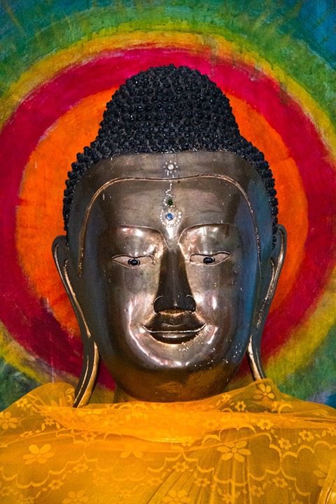JoshBulriss's tweet photo. "The key to finding inner peace is knowing that you have the power to choose your response to any situation." https://t.co/xypQHmcduF
