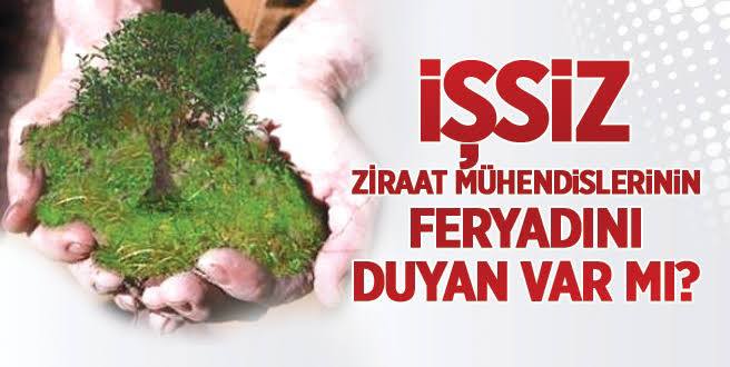 Diğer bakanlıklar ek atama yaparken biz ziraat mühendisleri ilk alımımızı bekliyoruz. Bu atama bizim hakkımız <a href="/ahmtbgc/">Ahmet Bağcı</a> <a href="/ibrahimyumakli/">İbrahim Yumaklı</a> <a href="/memetsimsek/">Mehmet Simsek</a> <a href="/ademdinc_/">Adem Dinç</a> <a href="/bekirgizligider/">Ebubekir GİZLİGİDER</a>
#ibrahimyumaklı