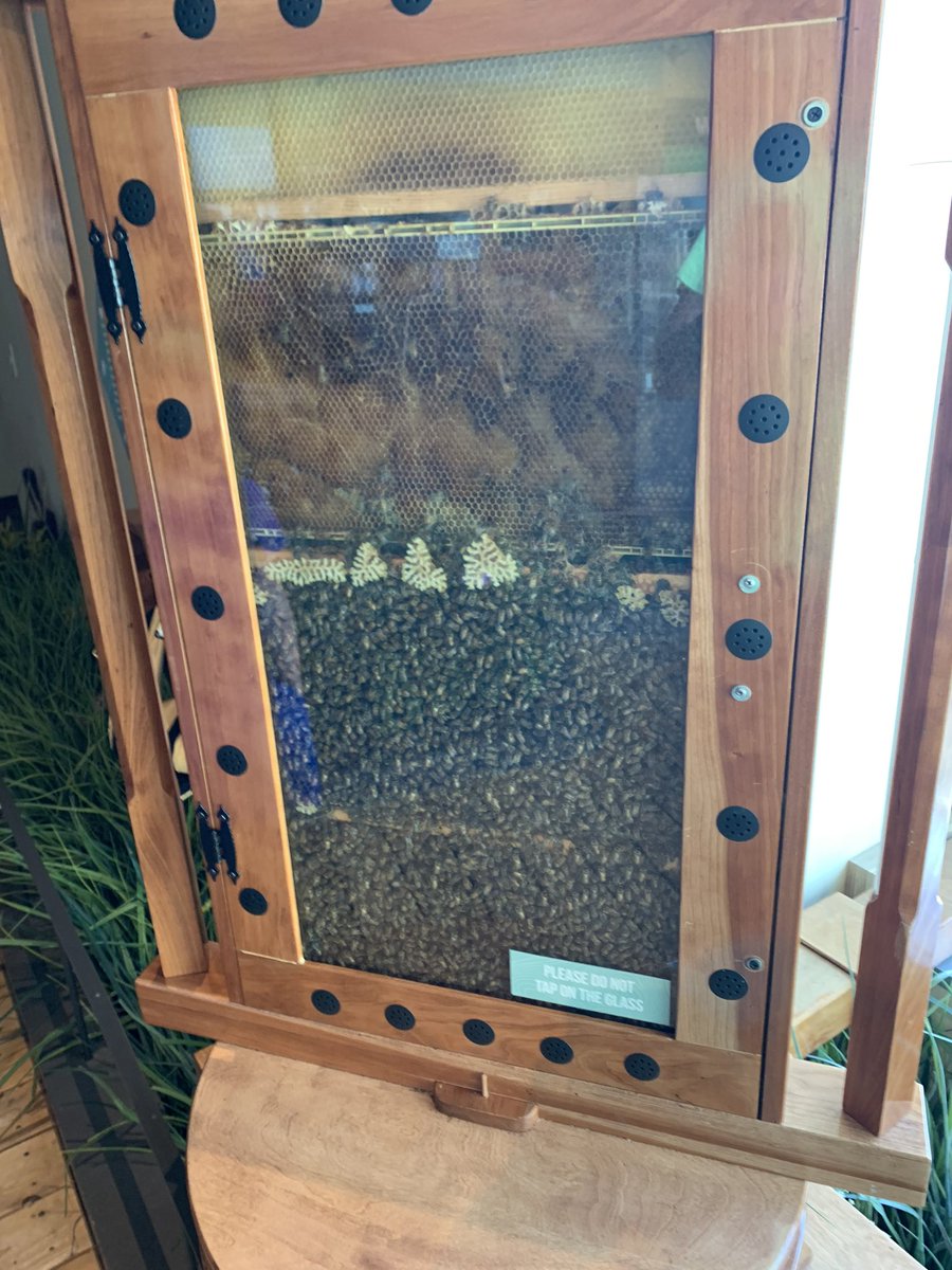 JayKay461's tweet image. @DALLASBRADEN209 view from the office #goodbuzz @SCIOWA