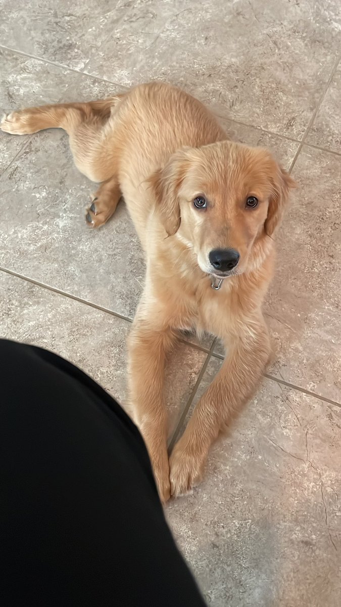 Happy Sunday, love Maple 🐾