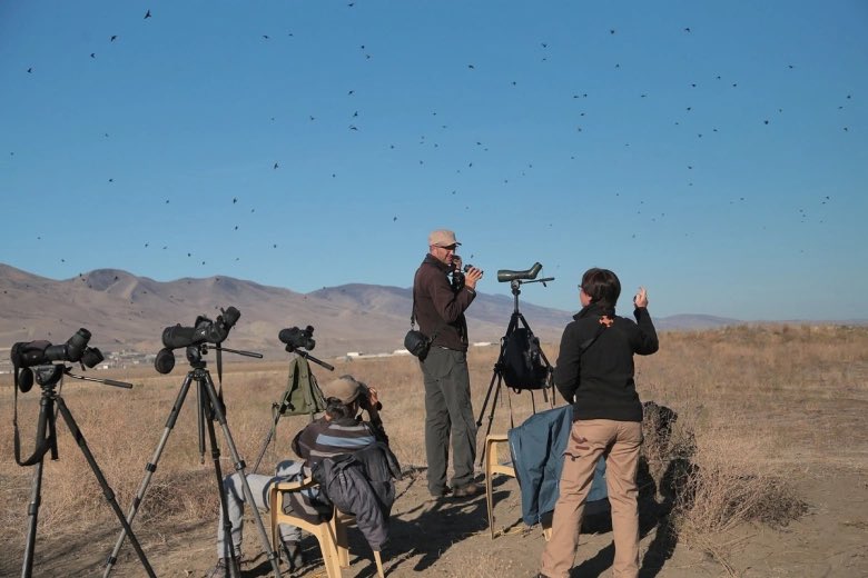 _OSME's tweet image. Want to help count millions of migrating birds?
Then Besh Barmag #Azerbaijan is the place to be this autumn. Great team, great project

For more details: osme.org/2023/07/besh-b…

#ornithology #migration #conservation