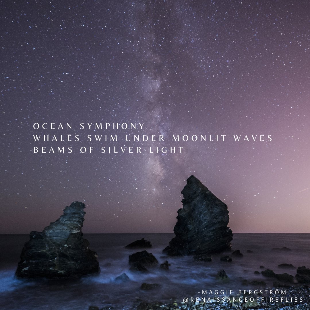 Firefliespoet's tweet photo. 💙🐋🌌🌚
#poet #POEMS #WritingCommunity #amwritng #haiku #ocean #poetry  #poetrycommunity #poetrylovers https://t.co/AH4Gu3amqf