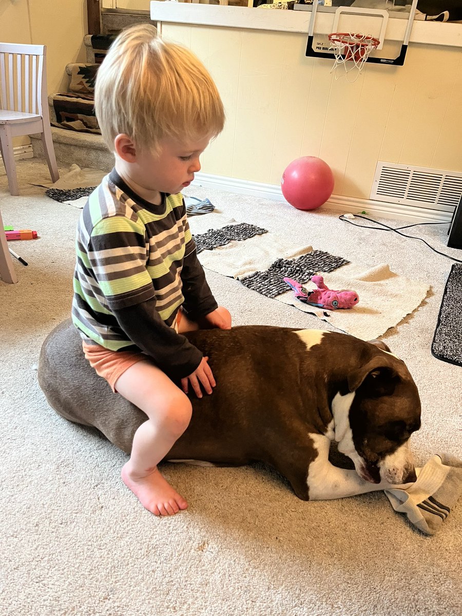 Hannah Nelson tweet media