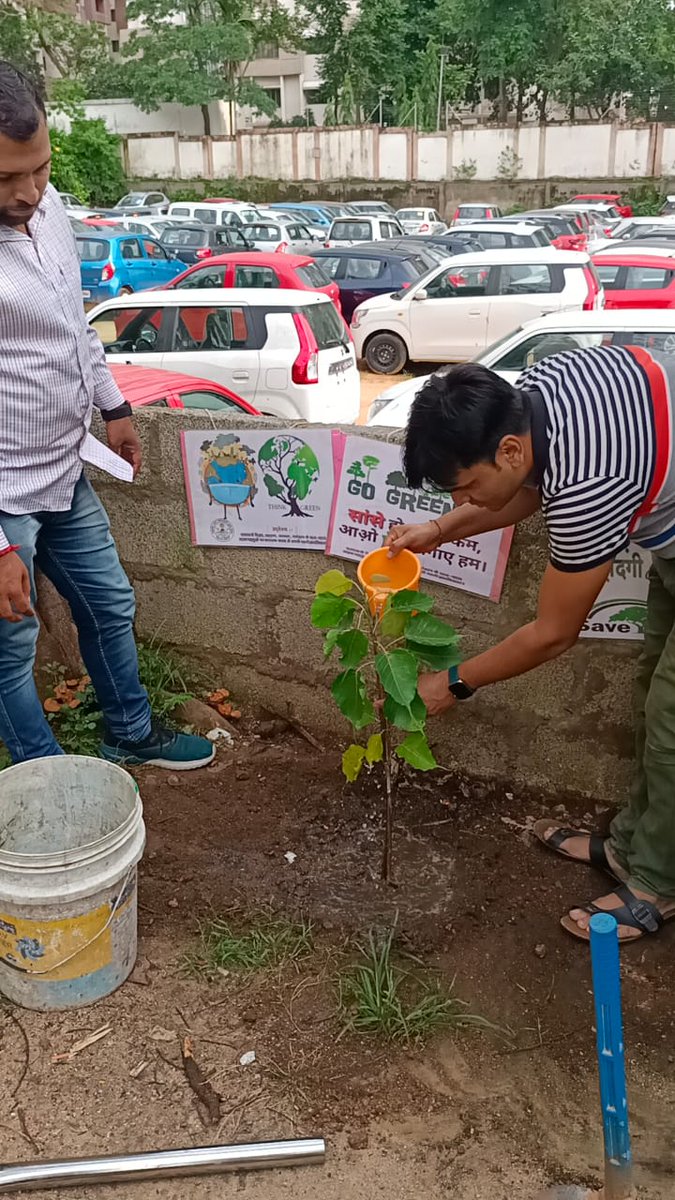 bholasingh93's tweet photo. #जन्मदिनविशेष उपहार स्वरूप भेंट
युवाओं के प्रेरणास्रोत @SonuSood  सर के जन्मदिन पर महावीर धाम सोसाइटी युवा बलिया ने हैदराबाद में #पौधारोपण_कर_बनाया_ऑक्सीजन #कॉरिडोर 🌳🌳
@Mdsyteam019 @SoodFoundation 
@myogioffice @myogiadityanath
@ABPNews @TelanganaCMO https://t.co/cFdzzsHqzD