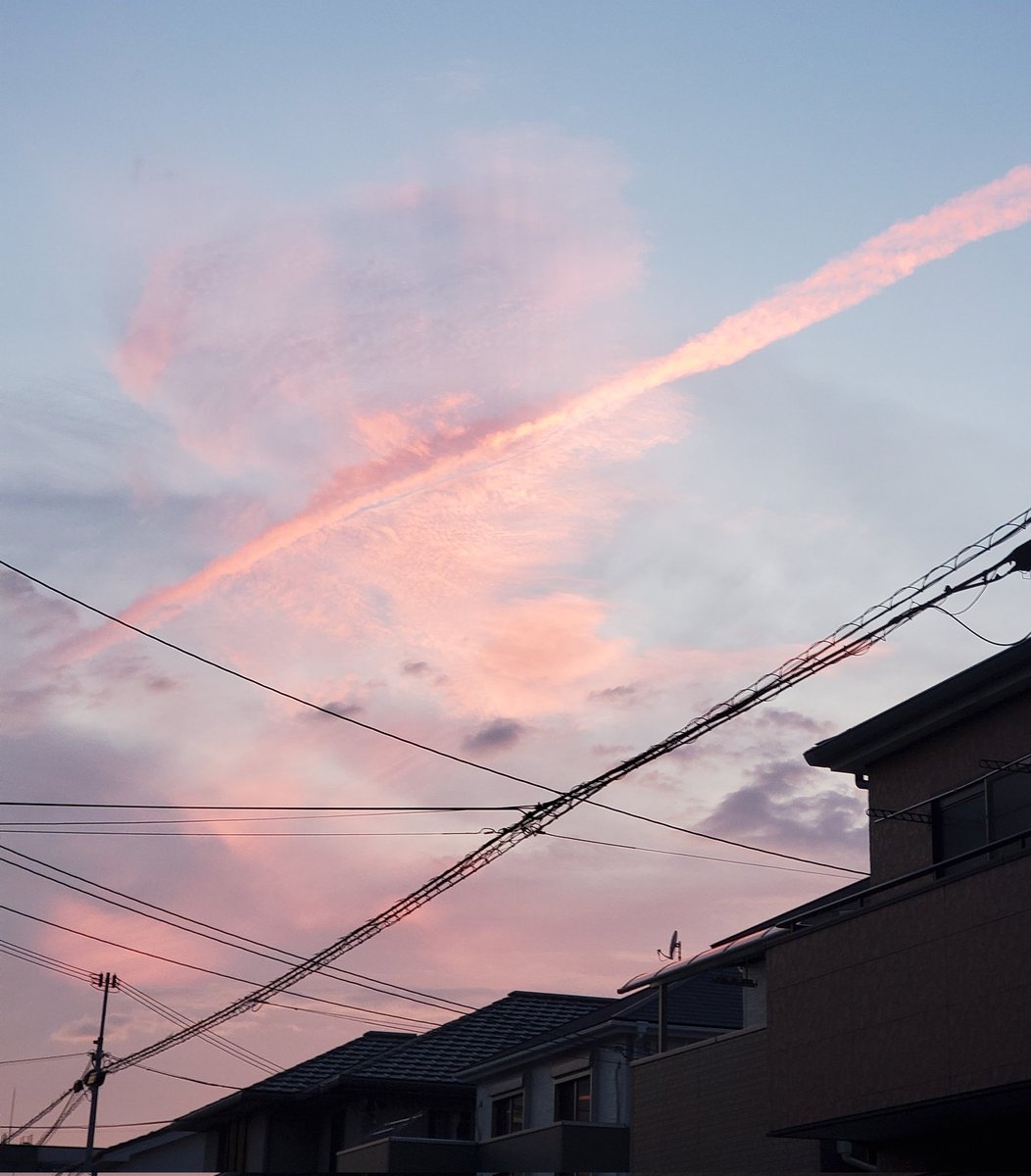 AWSQuHv6EN5oeEP's tweet image. 我が家の上に鳳凰