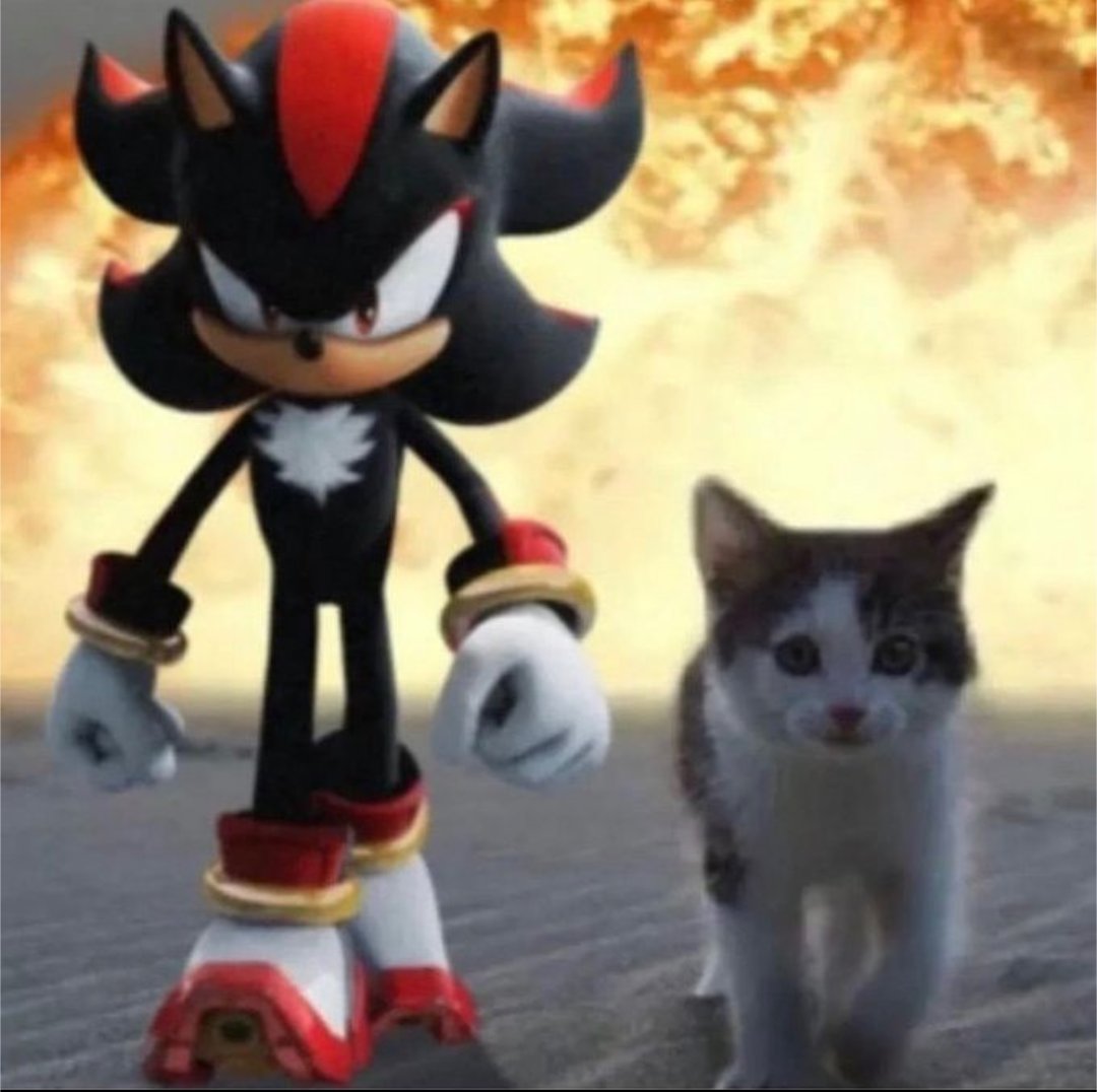 sillycritterz's tweet photo. this pictur looks really cool to me guys look at them do u think they are friends https://t.co/jU3I2uh6tf